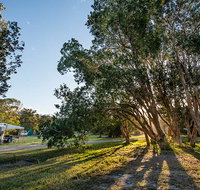 Delicate campground - Accommodation in Surfers Paradise