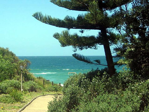 Seashells Beachfront Resort - Accommodation in Surfers Paradise 0