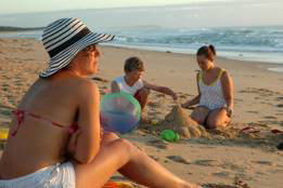 Seashells Beachfront Resort - Accommodation in Surfers Paradise 4