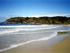 Walkabout Holiday House - Accommodation in Surfers Paradise 4
