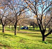Wellington Caves Caravan Park - Accommodation in Surfers Paradise