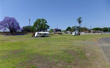 Grafton Showground Caravan Park - Accommodation in Surfers Paradise 0