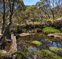 Junction Pools campground - Accommodation in Surfers Paradise