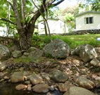 Mt Warning Rainforest Park - Accommodation in Surfers Paradise