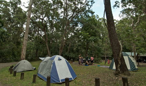 Sheepstation Creek Campground - Accommodation in Surfers Paradise 2