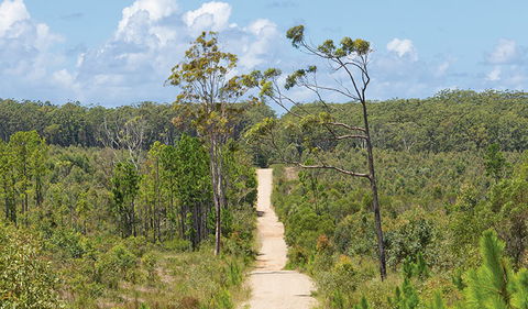 Station Creek Campground - Accommodation in Surfers Paradise 1