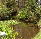 Tallowood Ridge B and B - Accommodation in Surfers Paradise