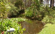 Tallowood Ridge B And B - Accommodation in Surfers Paradise 0