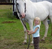 Three Waters High Country Holidays - Accommodation in Surfers Paradise