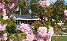 Tyrra Cottage Bed And Breakfast - Accommodation in Surfers Paradise 2