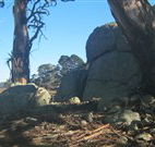 Warreen Farmstay Rural Accommodation - Accommodation in Surfers Paradise