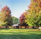 Laurel Hill Forest Lodge - Tumbarumba - Accommodation in Surfers Paradise