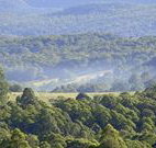 Nowendoc Country Motel - Nowendoc - Accommodation in Surfers Paradise