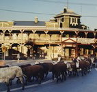 The Commercial Hotel Coonamble - Coonamble - Accommodation in Surfers Paradise