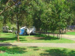 Weeroona Caravan Park - Accommodation in Surfers Paradise 1