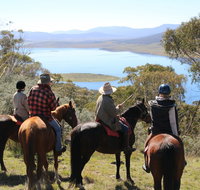 Reynella Homestead and Horseback Rides - Accommodation in Surfers Paradise