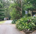 Tamborine Mountain Caravan  Camping - Accommodation in Surfers Paradise