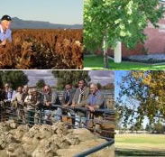 Southern Cross Motor Inn - Accommodation in Surfers Paradise