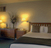 Ringwood Lake Inn - Accommodation in Surfers Paradise