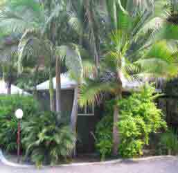 Nambour Rainforest Holiday Village - Accommodation in Surfers Paradise 1