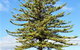 Town Centre Motel - Leeton - thumb 5