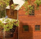 Barrington Tops Organic Retreat - Accommodation in Surfers Paradise