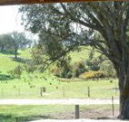 Hosanna Farm Retreat - Accommodation in Surfers Paradise