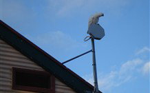 Lake View Farm House - Accommodation in Surfers Paradise 7