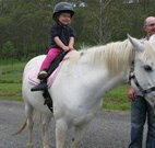 Mansfield Cottage Barrington Tops Accommodation - Accommodation in Surfers Paradise