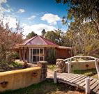 Starline Alpaca Farm Stay - Accommodation in Surfers Paradise