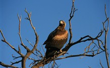 Stony Creek Farm B And B - Accommodation in Surfers Paradise 2