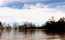 Stony Creek Farm B And B - Accommodation in Surfers Paradise 5