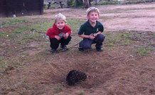 Venterfair Rural Retreat - Accommodation in Surfers Paradise 4