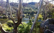 Venterfair Rural Retreat - Accommodation in Surfers Paradise 3