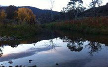 Venterfair Rural Retreat - Accommodation in Surfers Paradise 6