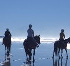 Whispering Brook - Accommodation in Surfers Paradise