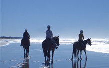Whispering Brook - Accommodation in Surfers Paradise 0