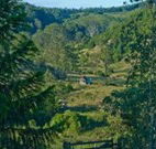 Yarralong BnB and Farm Stay - Accommodation in Surfers Paradise