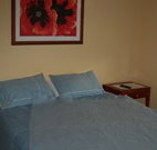 Busy Buzz - Accommodation in Surfers Paradise