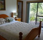 Peaceful Palms Bed and Breakfast - - Accommodation in Surfers Paradise