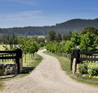 Pemberley Grange Hunter Valley Getaway - Accommodation in Surfers Paradise