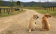 Pemberley Grange Hunter Valley Getaway - Accommodation in Surfers Paradise 1