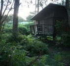 Mount Seaview Resort - Accommodation in Surfers Paradise