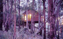 Elgetha Cottage - Accommodation in Surfers Paradise 5