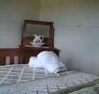 Love Me Tender - Accommodation in Surfers Paradise