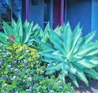 Retreat Homestead - Accommodation in Surfers Paradise