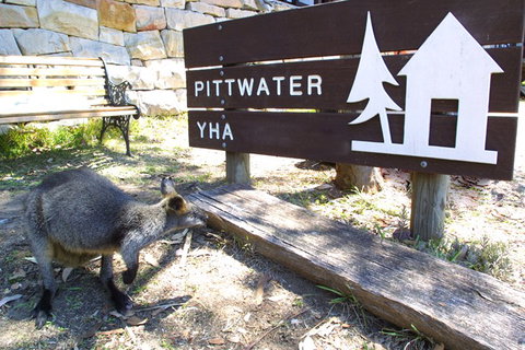 Sydney - Pittwater YHA - Accommodation in Surfers Paradise 9