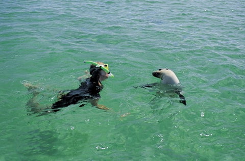 Coodlie Park - Port Kenny - Venus Bay - Accommodation in Surfers Paradise 3