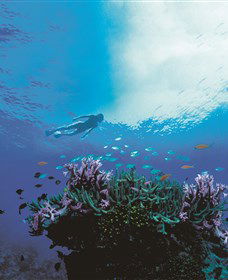 One&Only Hayman Island - Accommodation in Surfers Paradise 3