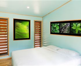Jungle Lodge - Accommodation in Surfers Paradise 2